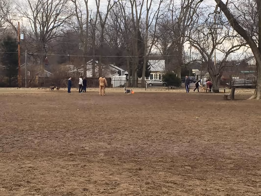 Broad Ripple Bark Park photo 1
